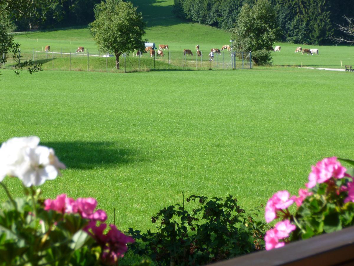 Ferienwohnungen Edmeier Bernau am Chiemsee Exterior foto